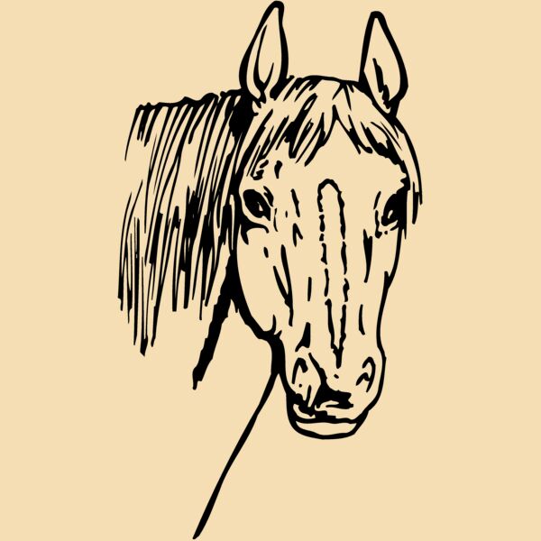 Horses Thumbnail